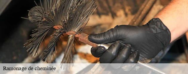 ramonage-de-cheminee