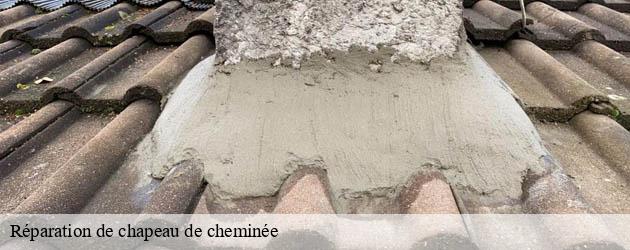 reparation-de-chapeau-de-cheminee