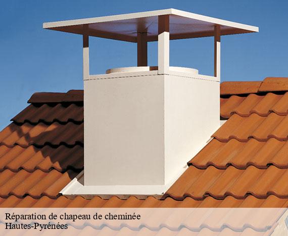 reparation-de-chapeau-de-cheminee