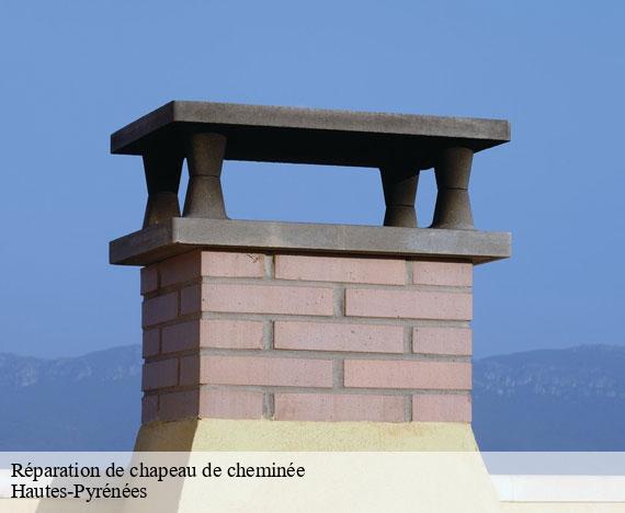 reparation-de-chapeau-de-cheminee