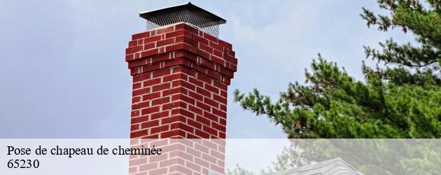 pose-de-chapeau-de-cheminee