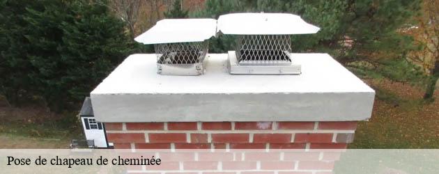 pose-de-chapeau-de-cheminee