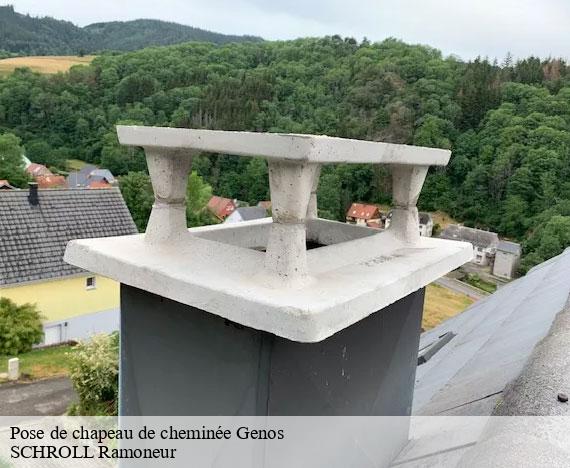 pose-de-chapeau-de-cheminee