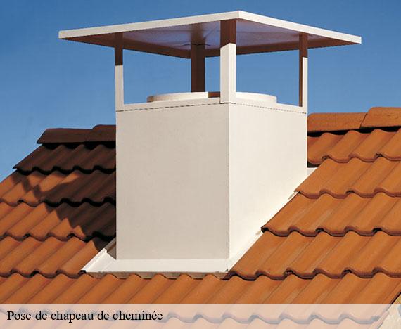 pose-de-chapeau-de-cheminee
