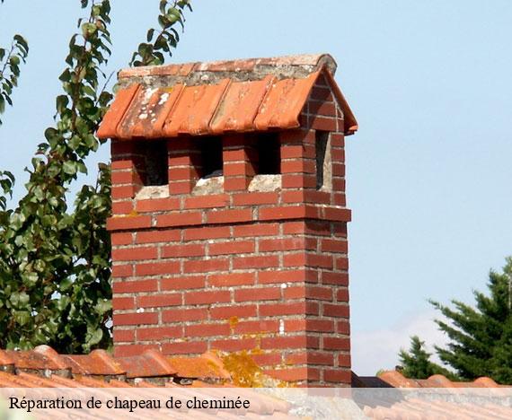 reparation-de-chapeau-de-cheminee