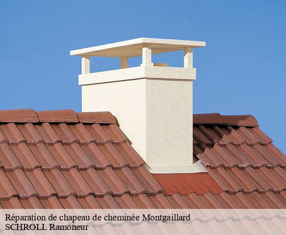 reparation-de-chapeau-de-cheminee