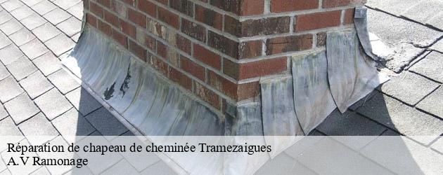 reparation-de-chapeau-de-cheminee