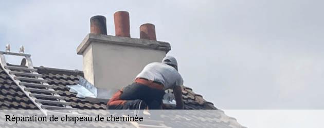 reparation-de-chapeau-de-cheminee