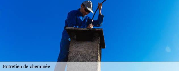 entretien-de-cheminee