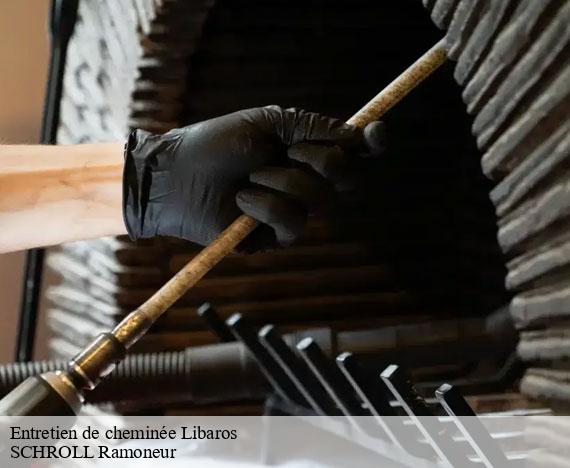 entretien-de-cheminee