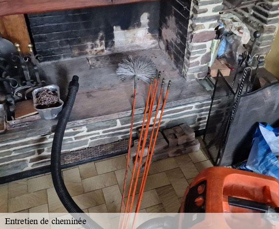 entretien-de-cheminee