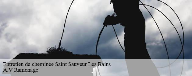 entretien-de-cheminee