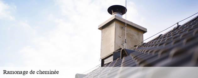ramonage-de-cheminee